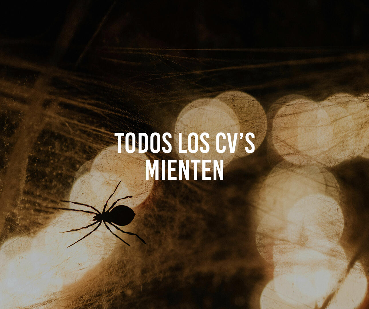 Todos los CVs mienten asdfasdf